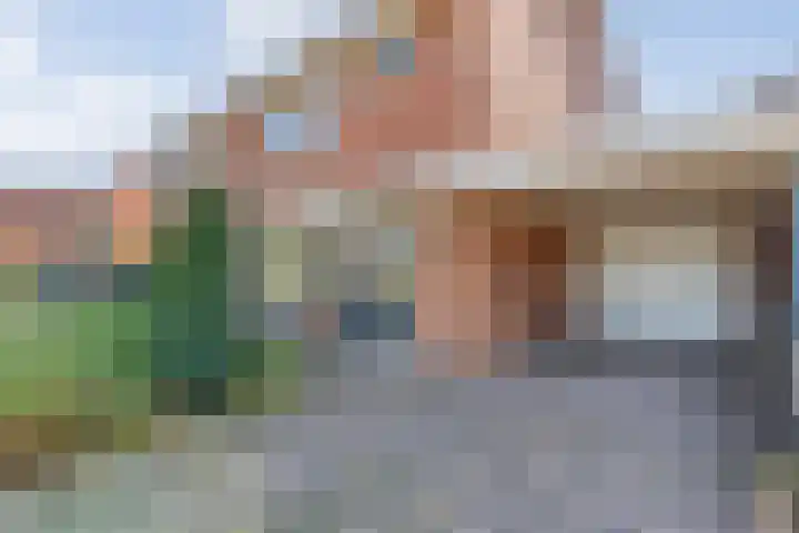 De Roerdomp 12 Dedemsvaart thumbnail 4