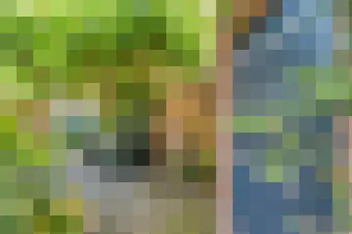 De Roerdomp 12 Dedemsvaart thumbnail 40