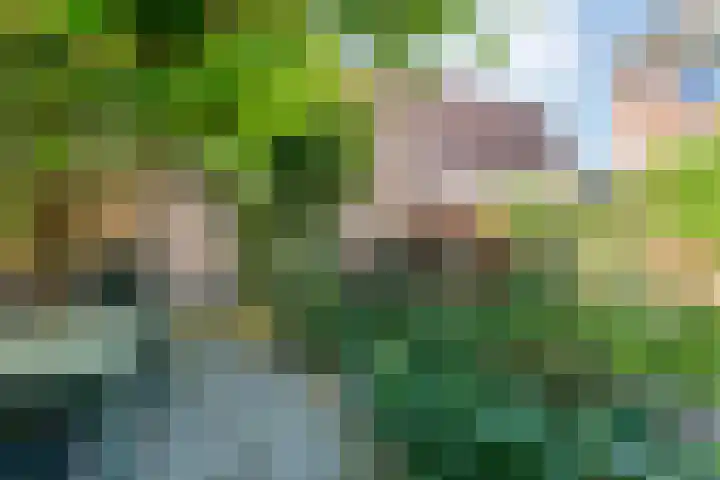 De Roerdomp 12 Dedemsvaart thumbnail 41
