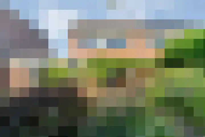 De Roerdomp 12 Dedemsvaart thumbnail 42