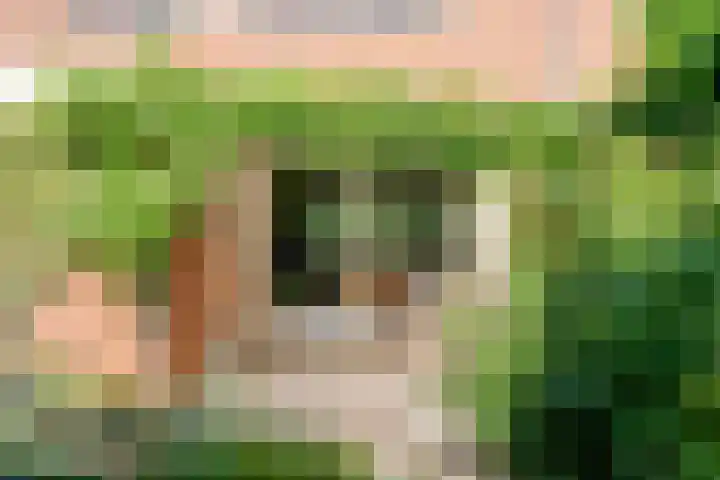 De Roerdomp 12 Dedemsvaart thumbnail 43