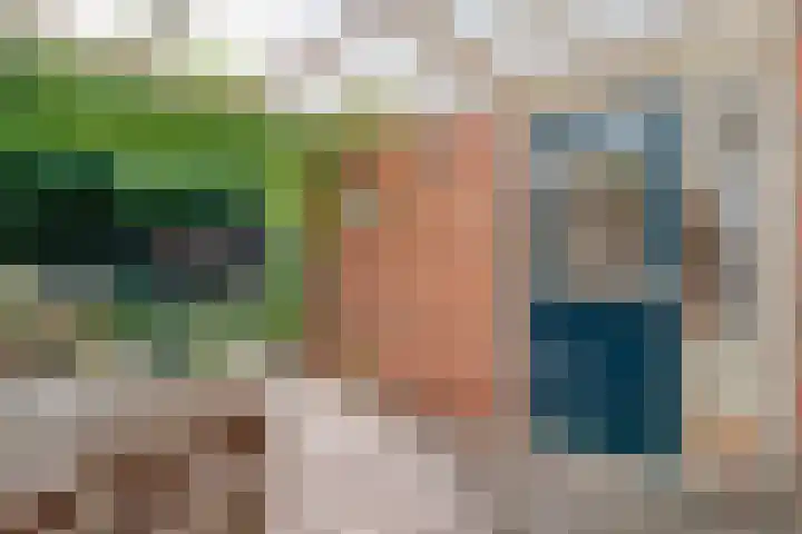 De Roerdomp 12 Dedemsvaart thumbnail 44