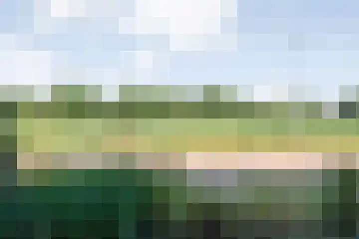 De Roerdomp 12 Dedemsvaart thumbnail 45
