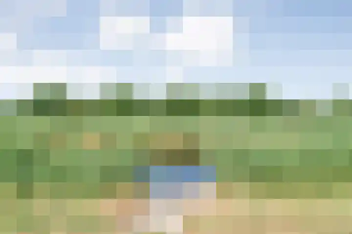 De Roerdomp 12 Dedemsvaart thumbnail 46