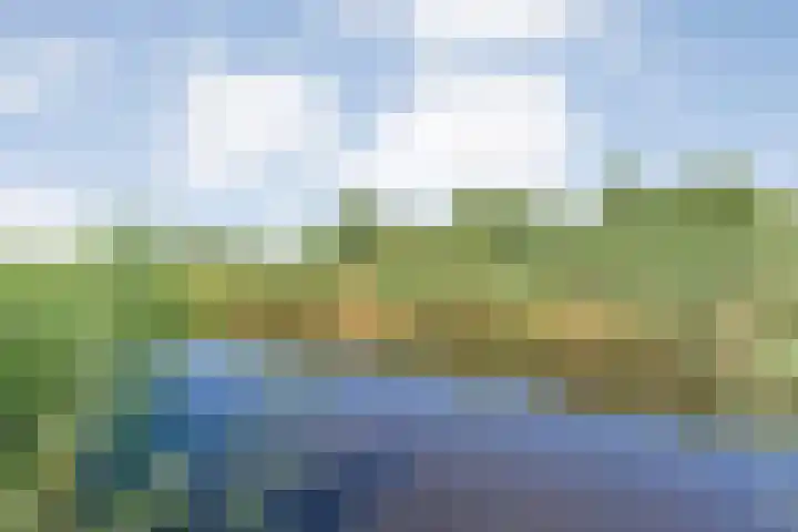 De Roerdomp 12 Dedemsvaart thumbnail 47