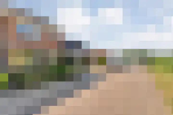 De Roerdomp 12 Dedemsvaart thumbnail 48