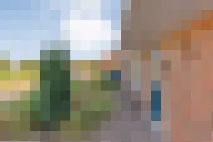 De Roerdomp 12 Dedemsvaart thumbnail 5