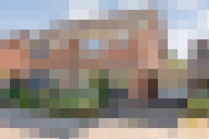 De Roerdomp 12 Dedemsvaart thumbnail 55