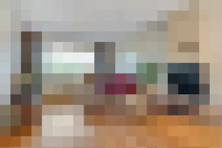 De Roerdomp 12 Dedemsvaart thumbnail 6