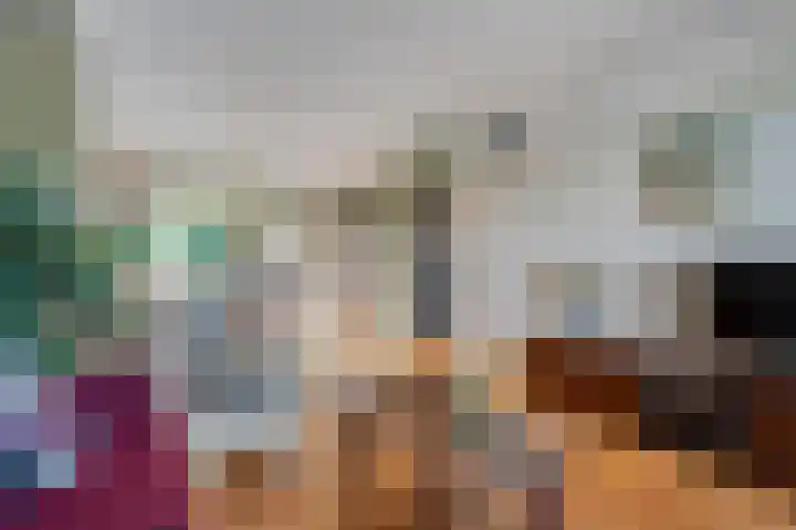 De Roerdomp 12 Dedemsvaart thumbnail 7