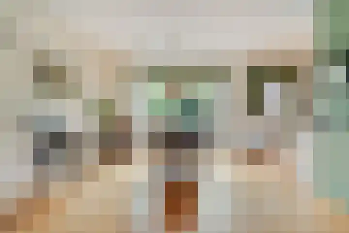 De Roerdomp 12 Dedemsvaart thumbnail 9