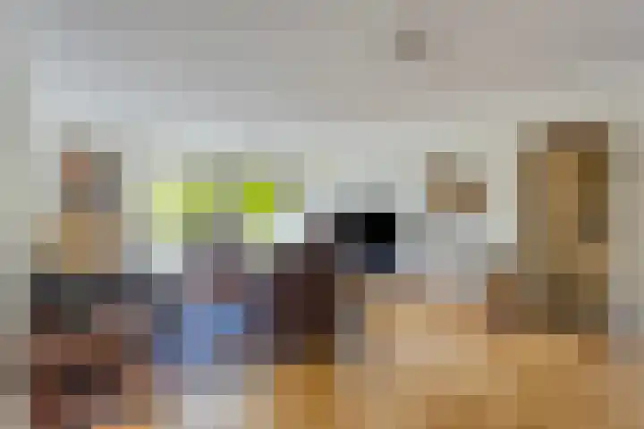 De Roerdomp 13 Purmerend