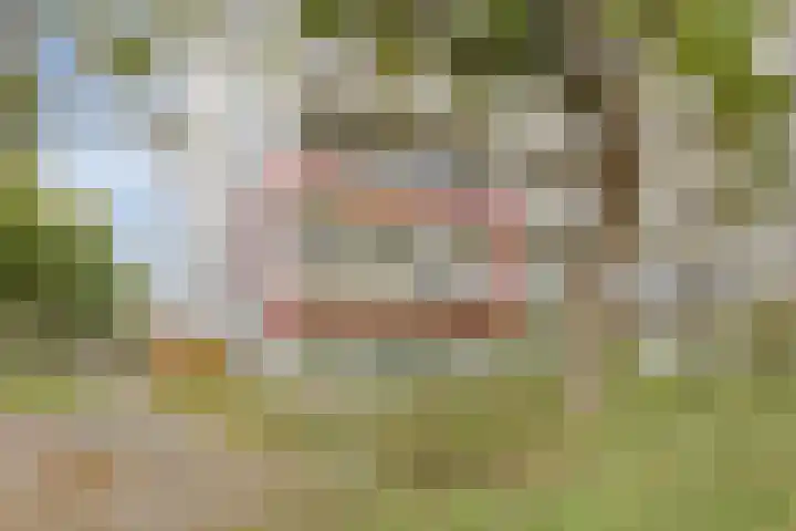 De Roerdomp 13 Purmerend thumbnail 10