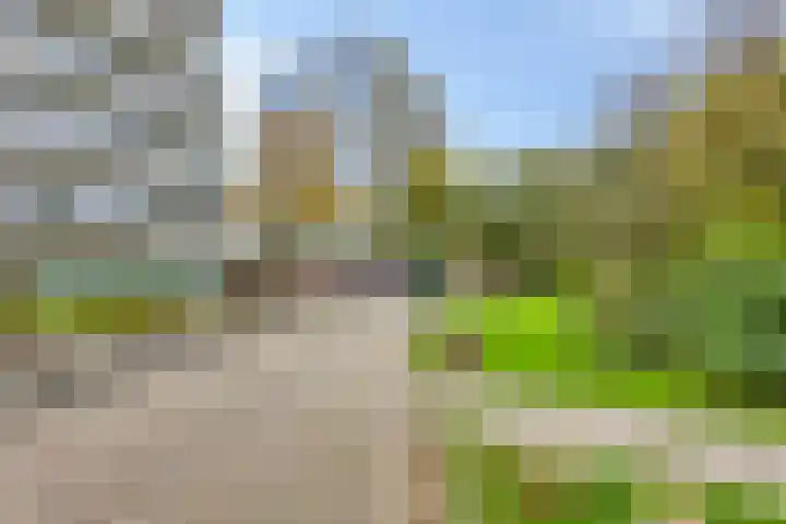 De Roerdomp 13 Purmerend thumbnail 11