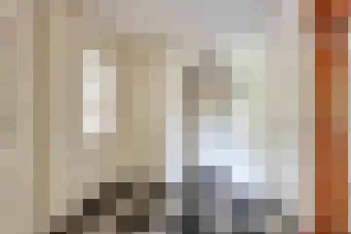 De Roerdomp 13 Purmerend thumbnail 18