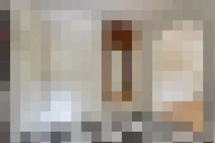 De Roerdomp 13 Purmerend thumbnail 19