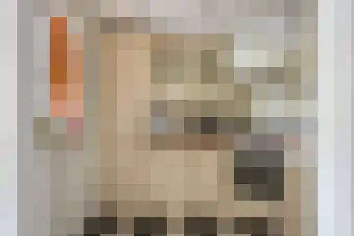 De Roerdomp 13 Purmerend thumbnail 22