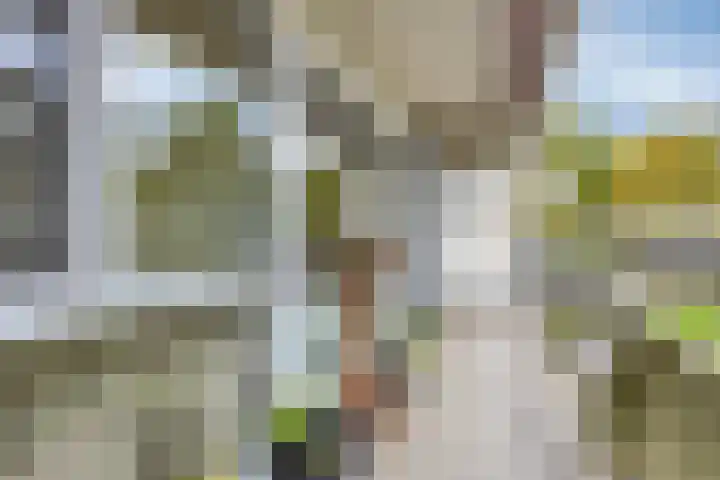 De Roerdomp 13 Purmerend thumbnail 26