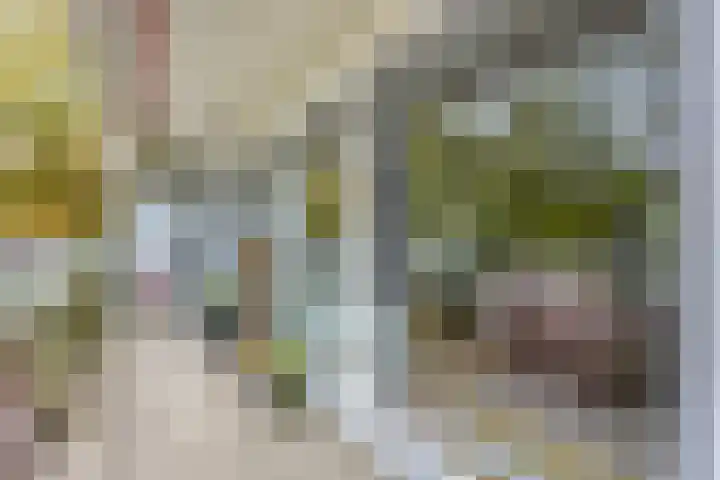 De Roerdomp 13 Purmerend thumbnail 27