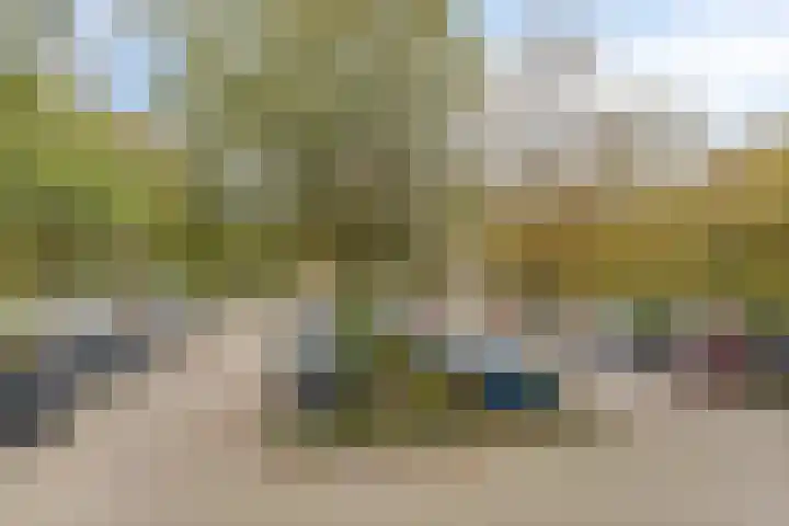 De Roerdomp 13 Purmerend thumbnail 32
