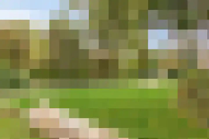 De Roerdomp 13 Purmerend thumbnail 33