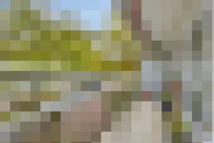 De Roerdomp 13 Purmerend thumbnail 5