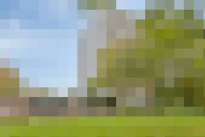 De Roerdomp 13 Purmerend thumbnail 6