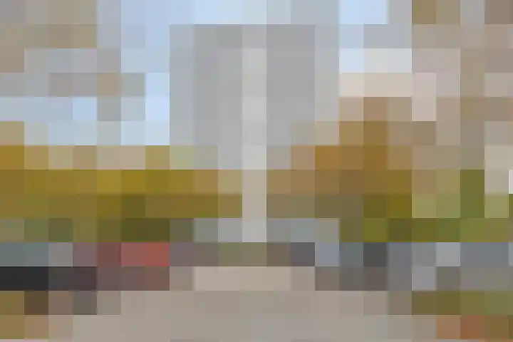De Roerdomp 13 Purmerend thumbnail 8