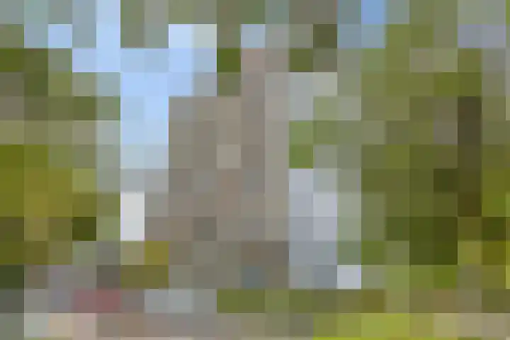 De Roerdomp 13 Purmerend thumbnail 9