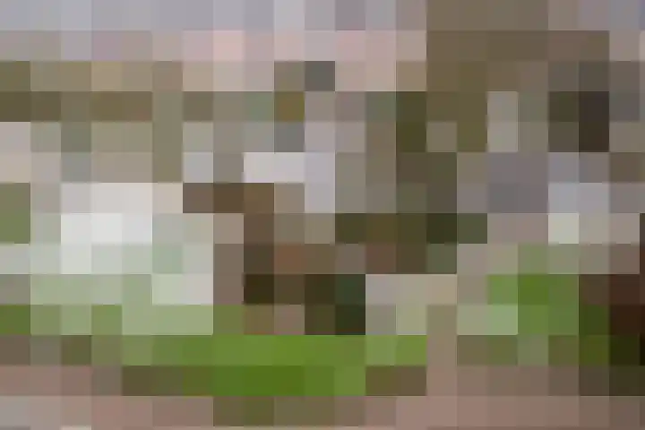 De Roerdomp 147 Purmerend thumbnail 23