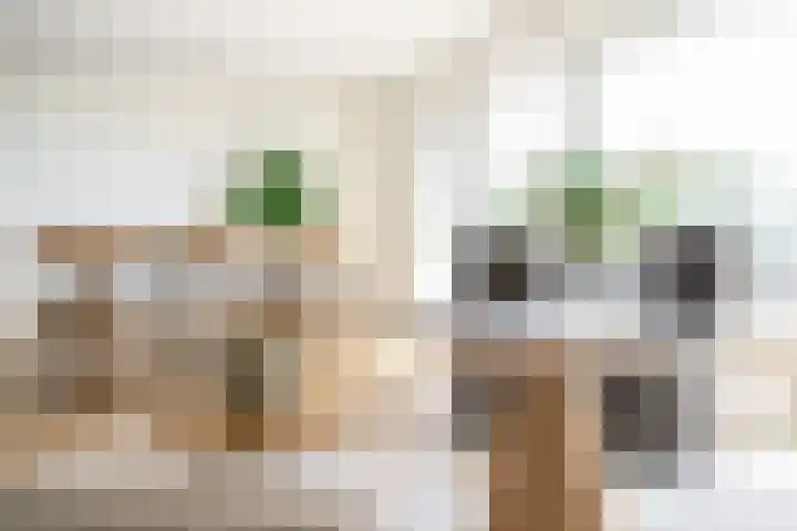 De Roerdomp 150 Purmerend thumbnail 15