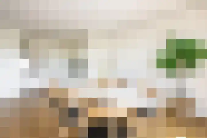 De Roerdomp 150 Purmerend thumbnail 16