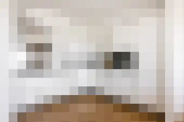 De Roerdomp 150 Purmerend thumbnail 20