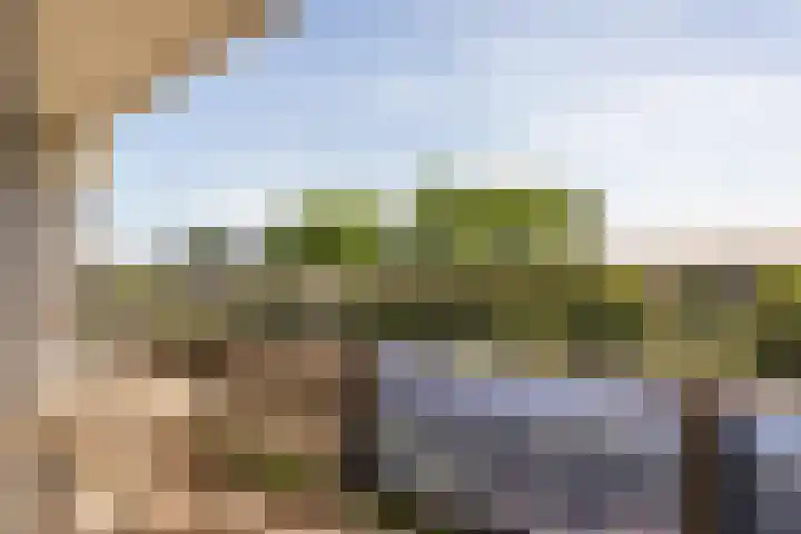 De Roerdomp 150 Purmerend thumbnail 30