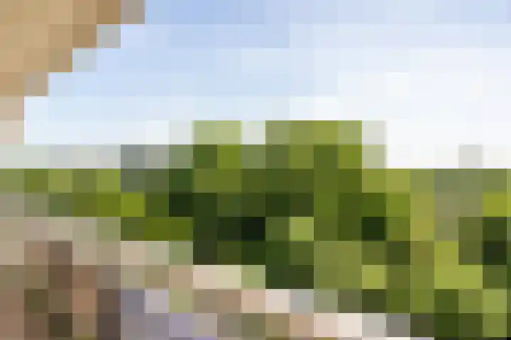 De Roerdomp 150 Purmerend thumbnail 31