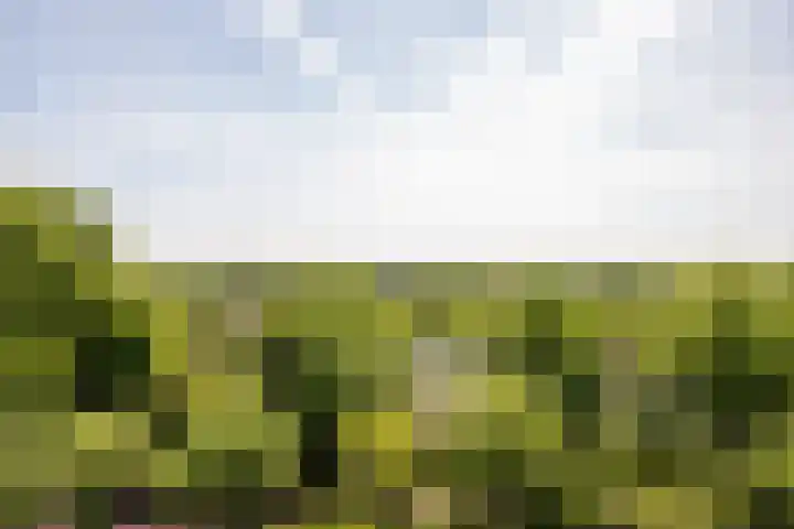 De Roerdomp 150 Purmerend thumbnail 32