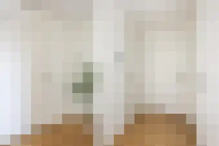 De Roerdomp 150 Purmerend thumbnail 33