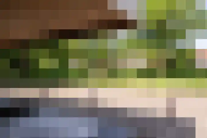 De Roerdomp 150 Purmerend thumbnail 36