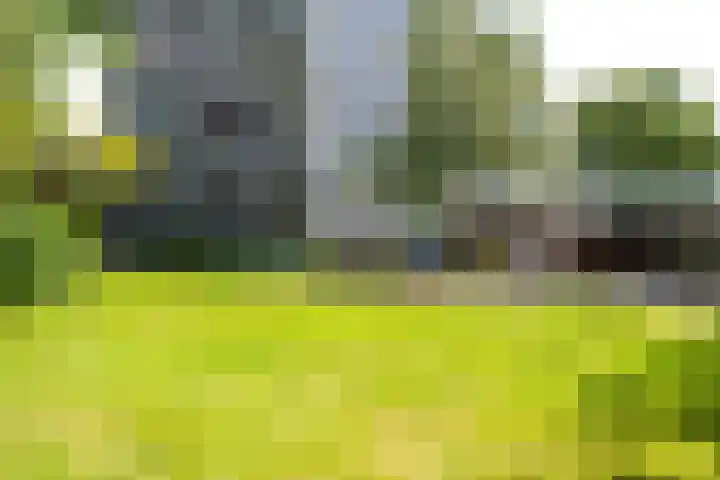 De Roerdomp 150 Purmerend thumbnail 37