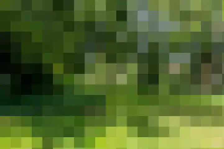 De Roerdomp 150 Purmerend thumbnail 38