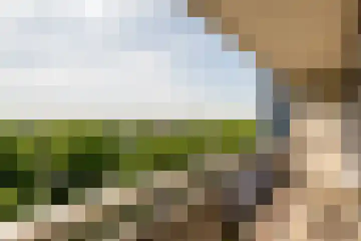De Roerdomp 150 Purmerend thumbnail 5