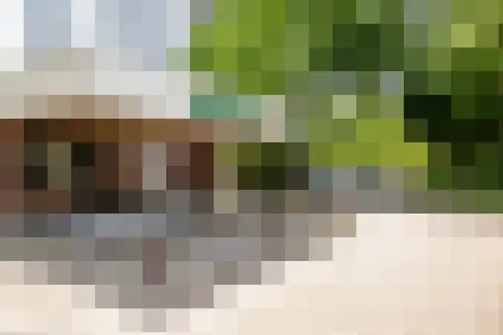 De Roerdomp 150 Purmerend thumbnail 6