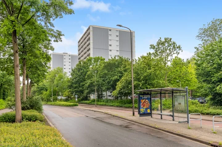 De Roerdomp 157 Purmerend thumbnail 35