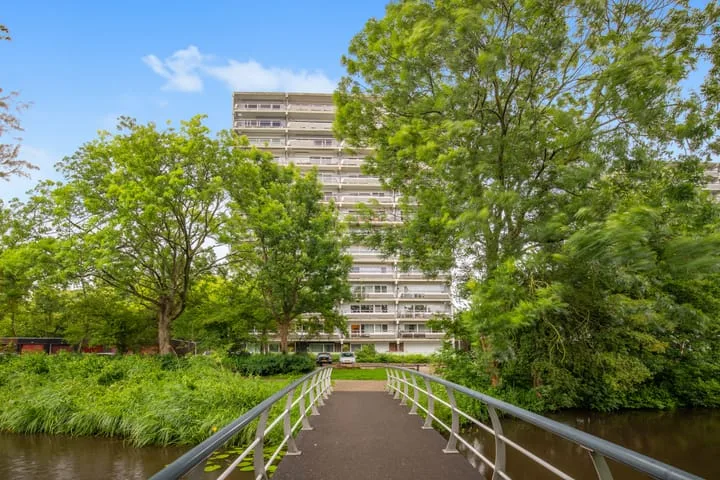 De Roerdomp 157 Purmerend thumbnail 36