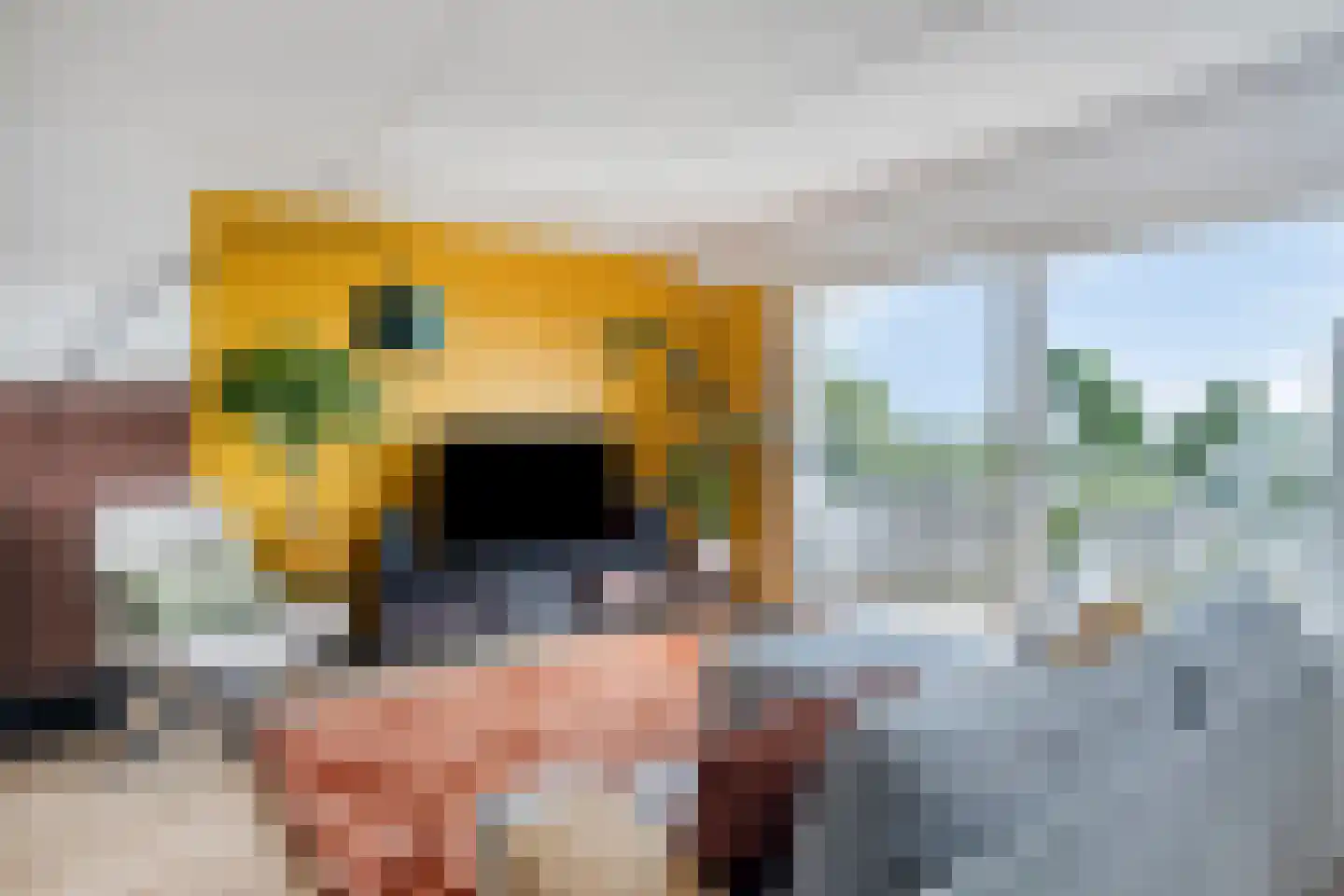 De Roerdomp 162 Purmerend thumbnail 16