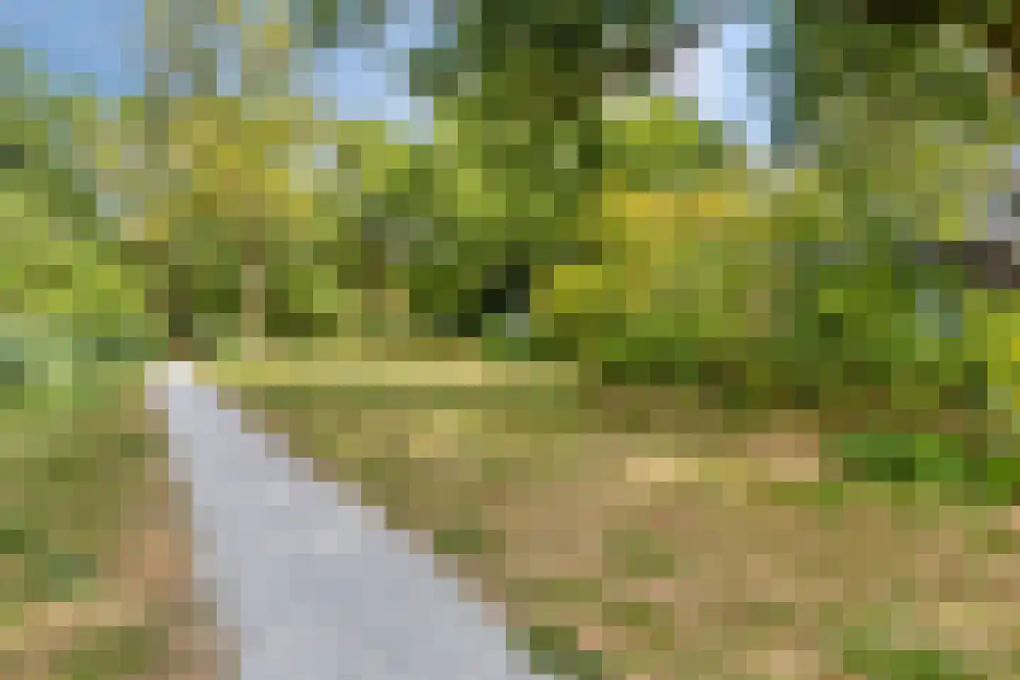De Roerdomp 162 Purmerend thumbnail 33