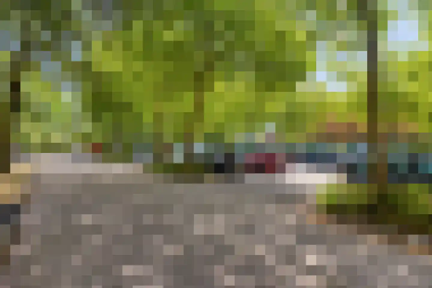 De Roerdomp 162 Purmerend thumbnail 34
