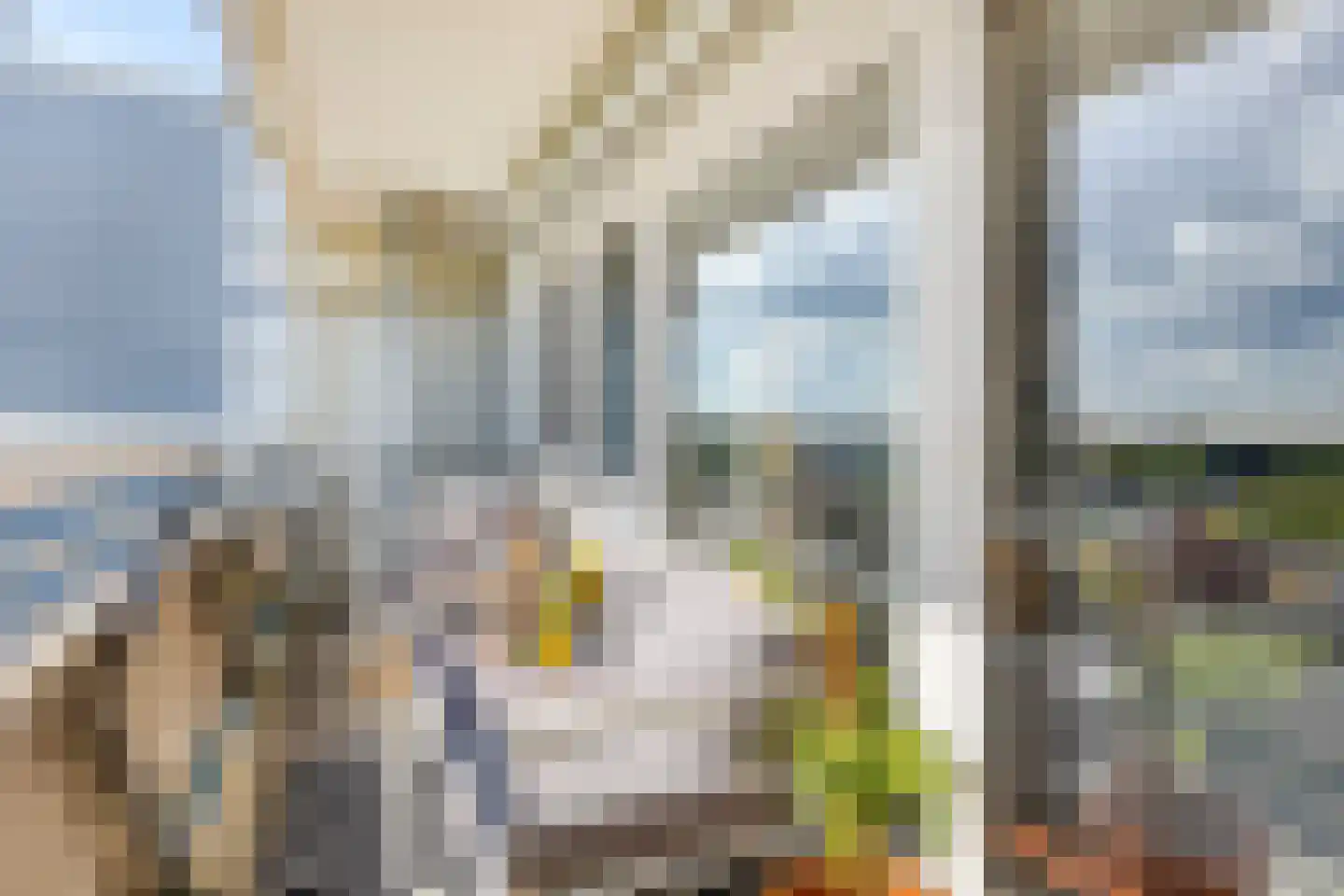 De Roerdomp 162 Purmerend thumbnail 8