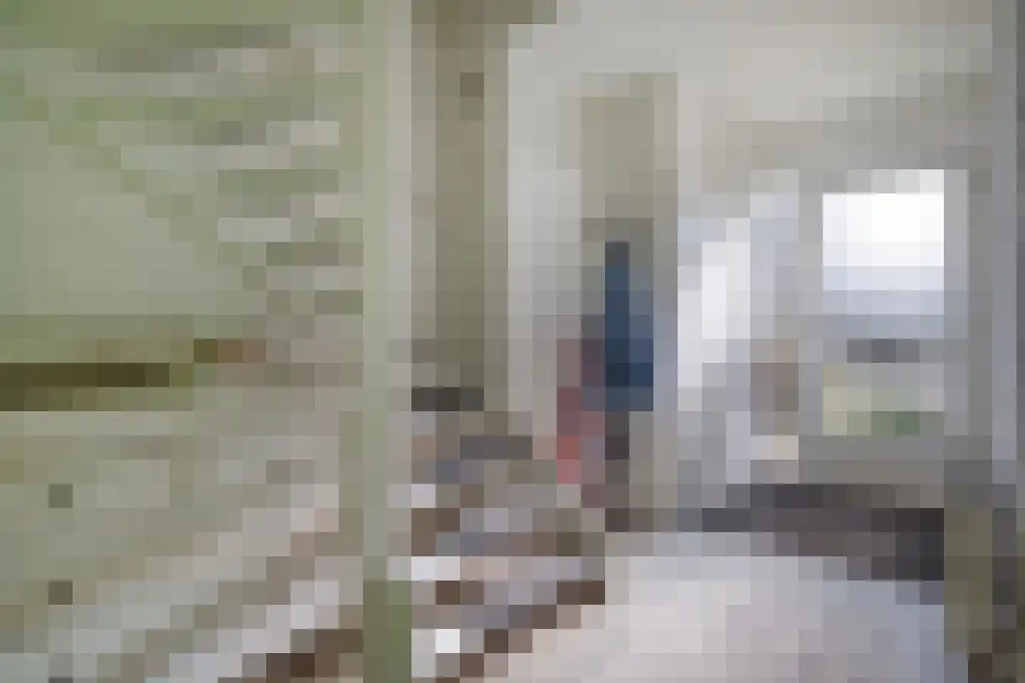 De Roerdomp 18 Dedemsvaart thumbnail 10