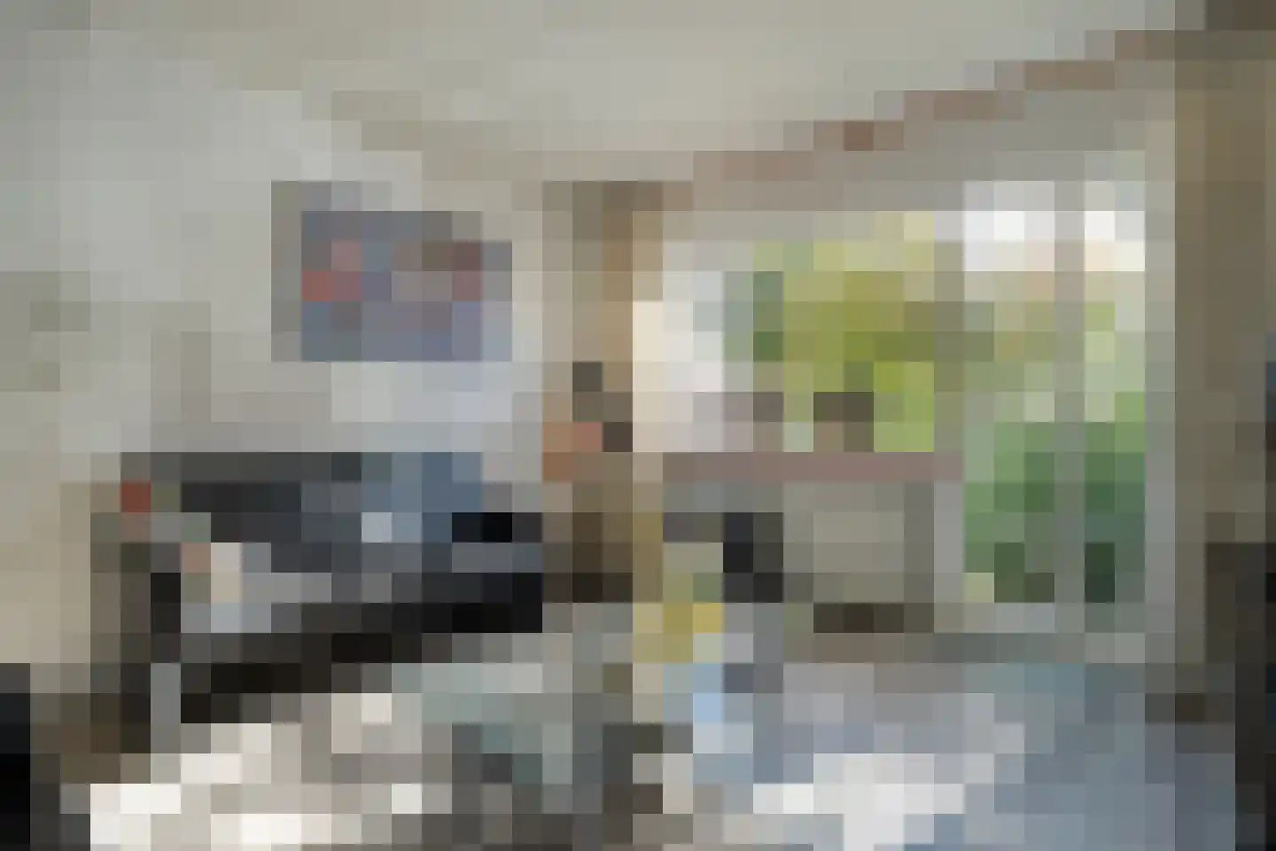 De Roerdomp 18 Dedemsvaart thumbnail 12